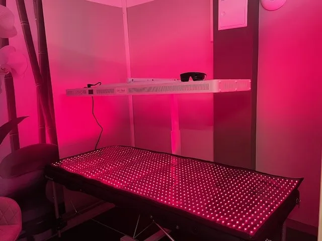 Hey Body - Rotlicht Anwendung/Therapie - Menschlicher Körper, Anatomie, Physiologie, Nervensystem, Kreislaufsystem