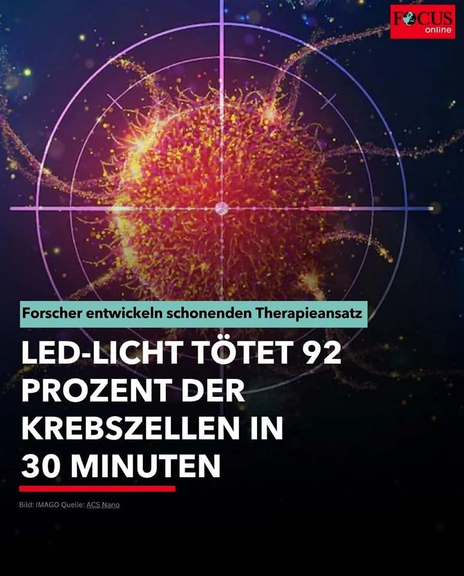 Hey Body - Rotlicht Anwendung/Therapie - Menschlicher Körper, Anatomie, Physiologie, Nervensystem, Kreislaufsystem